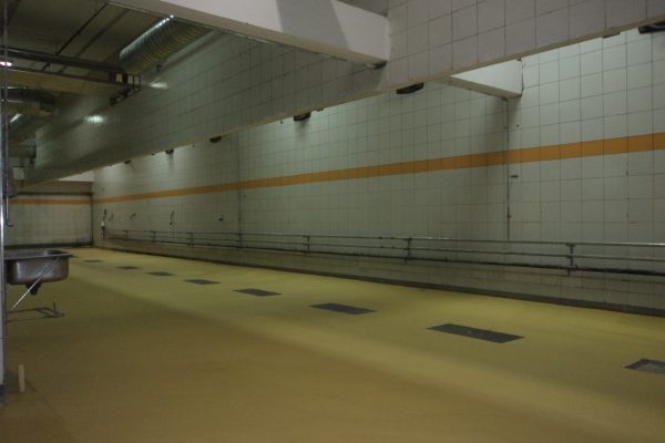 pics-8-600x400