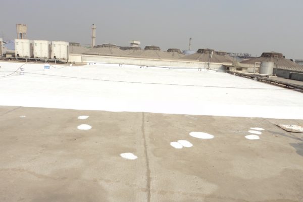 w-s-4-600x400